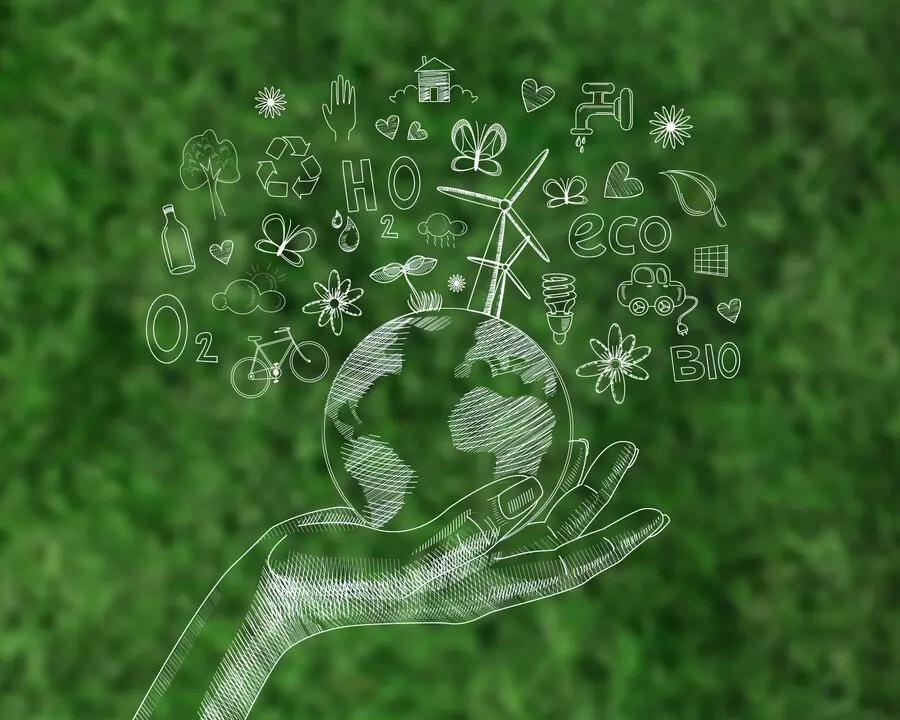 How to Start Your Carbon Journey: A Step-by-Step Guide